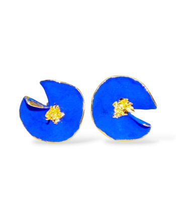 Small blue earrings